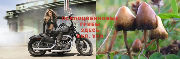 прущая мука Заводоуковск
