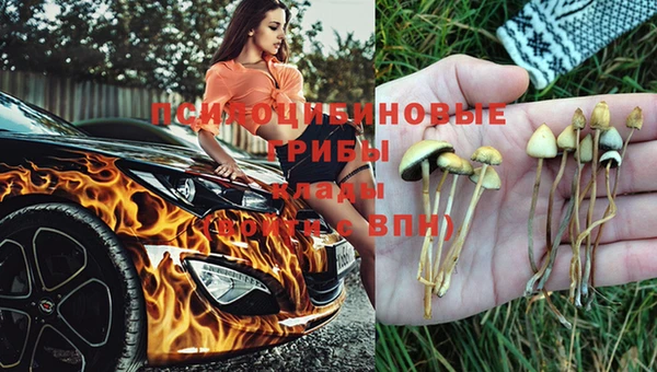 кристаллы Заволжье
