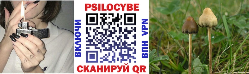 купить наркоту  Вологда  Галлюциногенные грибы Cubensis 